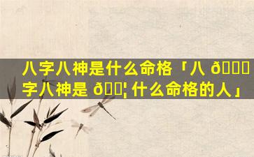 八字八神是什么命格「八 🍀 字八神是 🐦 什么命格的人」